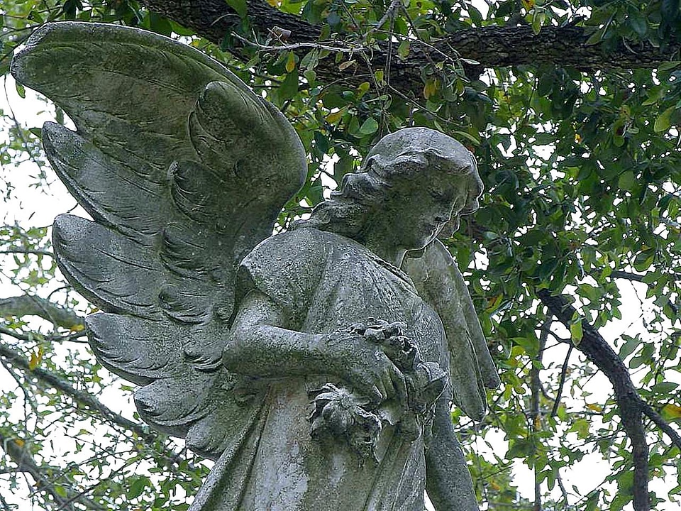 Angel  