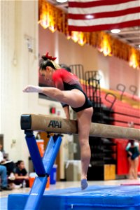 Sectional Finals-7248