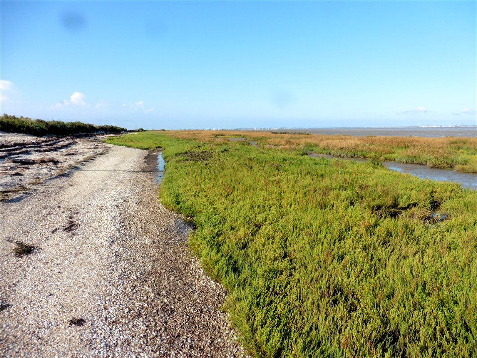 Littoral charentais, Oléron, Moëze