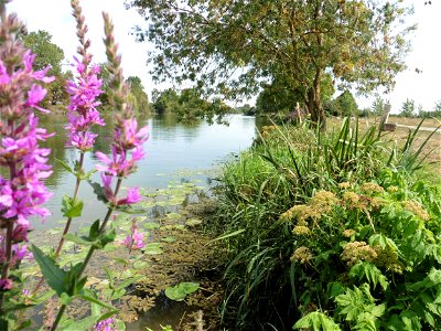 Fleuve Charente, Charente-Maritime