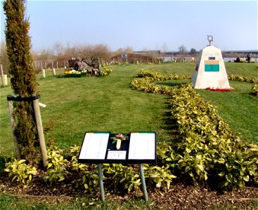 DSC08332