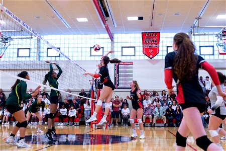 HC vs Montgomery-7585
