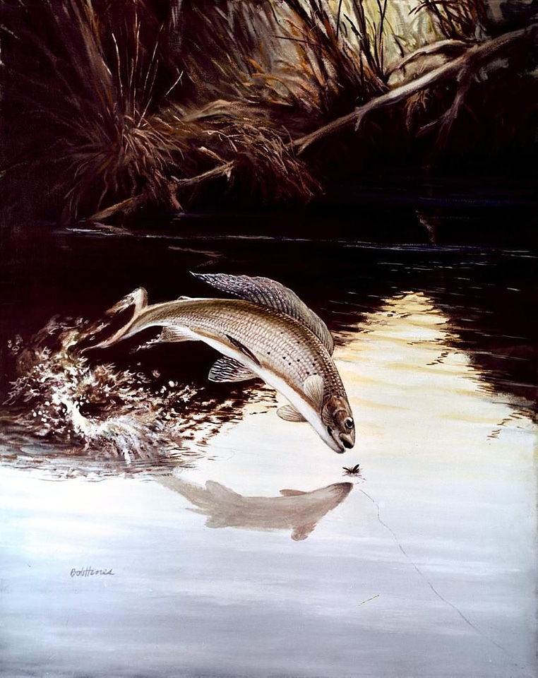 Aquatic artwork 