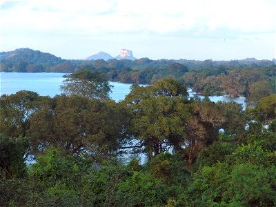 DSC04286