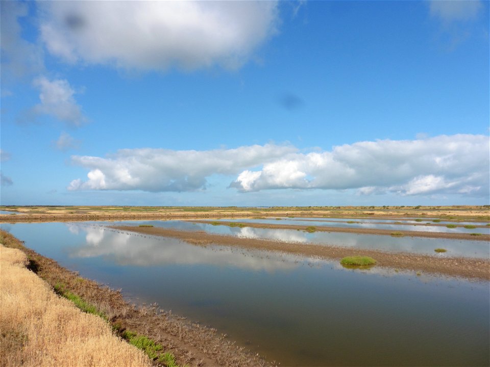 Littoral charentais, Oléron, Moëze