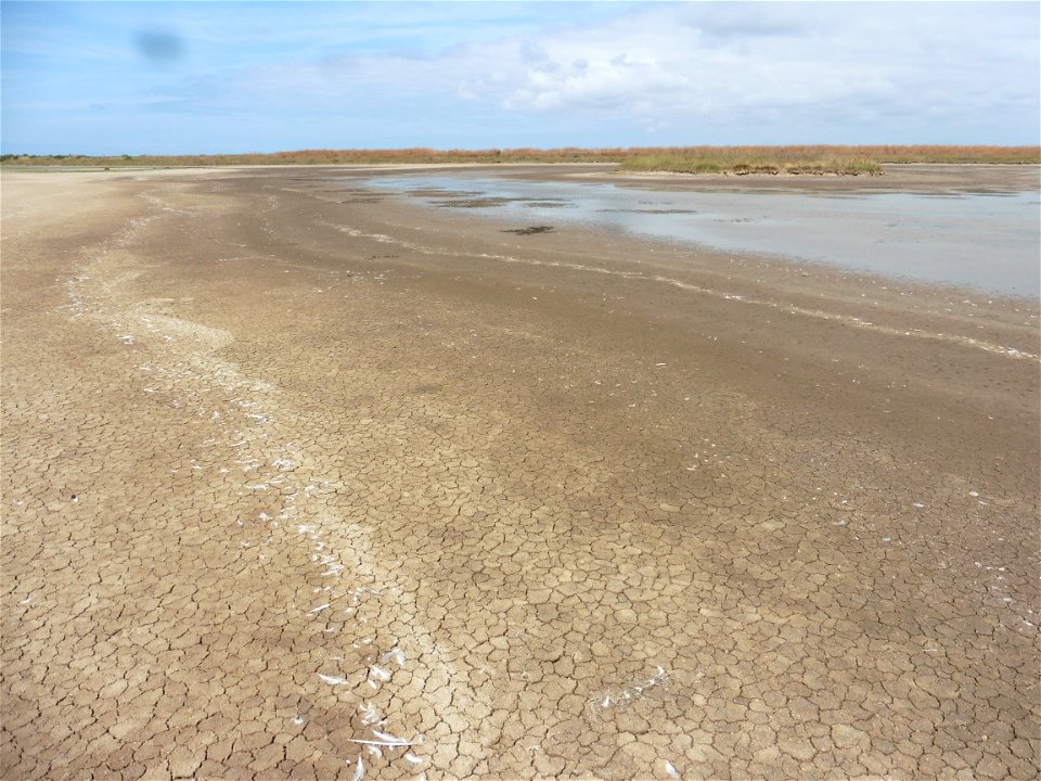 Littoral charentais, Oléron, Moëze