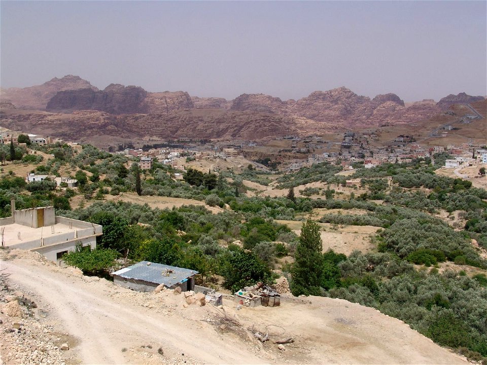 DSC07053