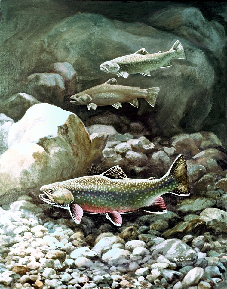 Arroyo artwork fish