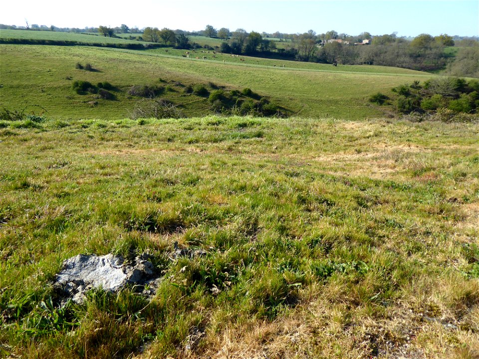 Vallée des Amourettes, Vendée