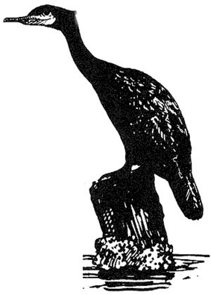 Aquatic art bird