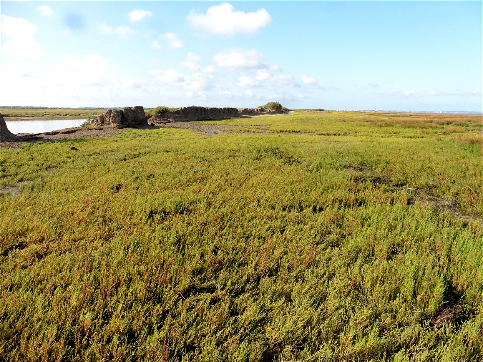 Littoral charentais, Oléron, Moëze