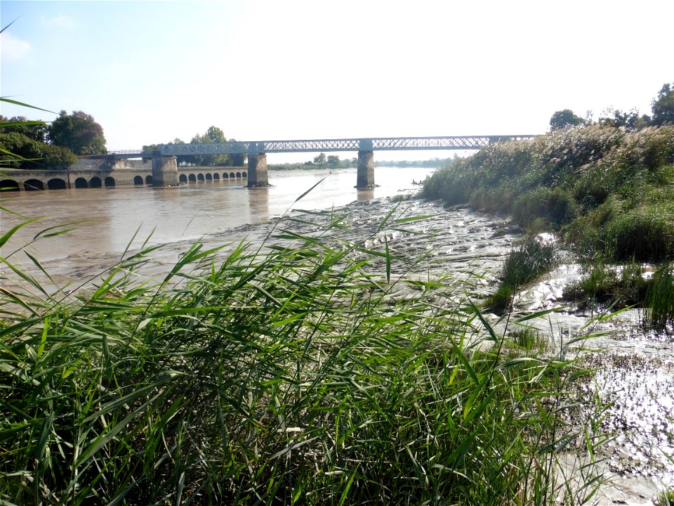 Fleuve Charente, Charente-Maritime