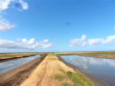 Littoral charentais, Oléron, Moëze
