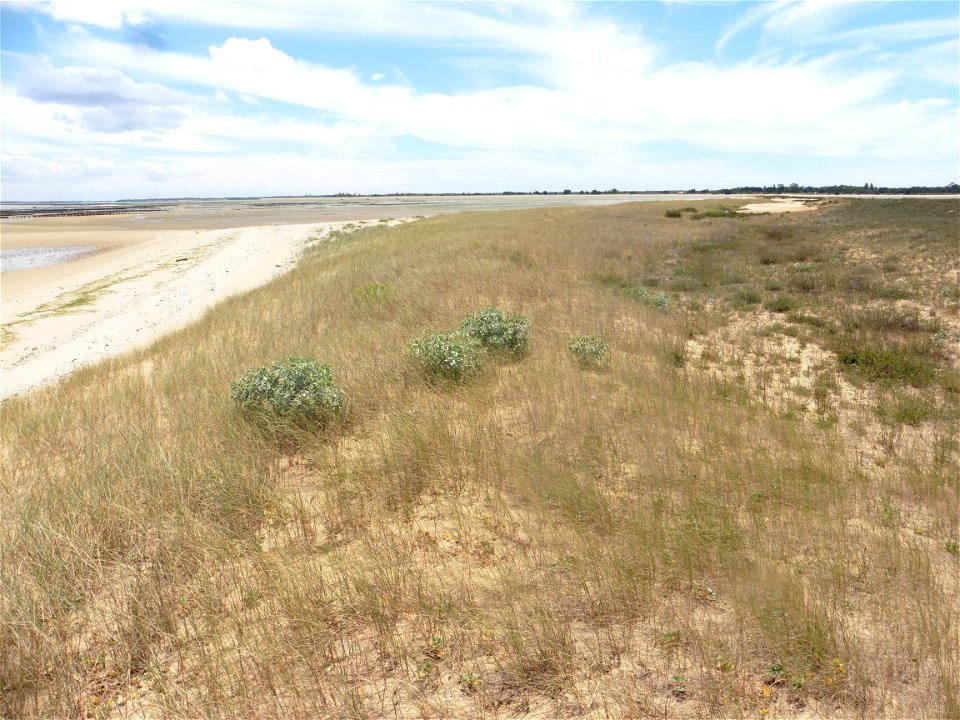 Littoral de Charente-Maritime
