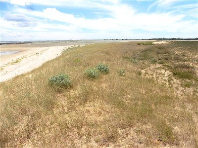 Littoral de Charente-Maritime