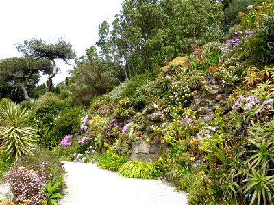 P1000751