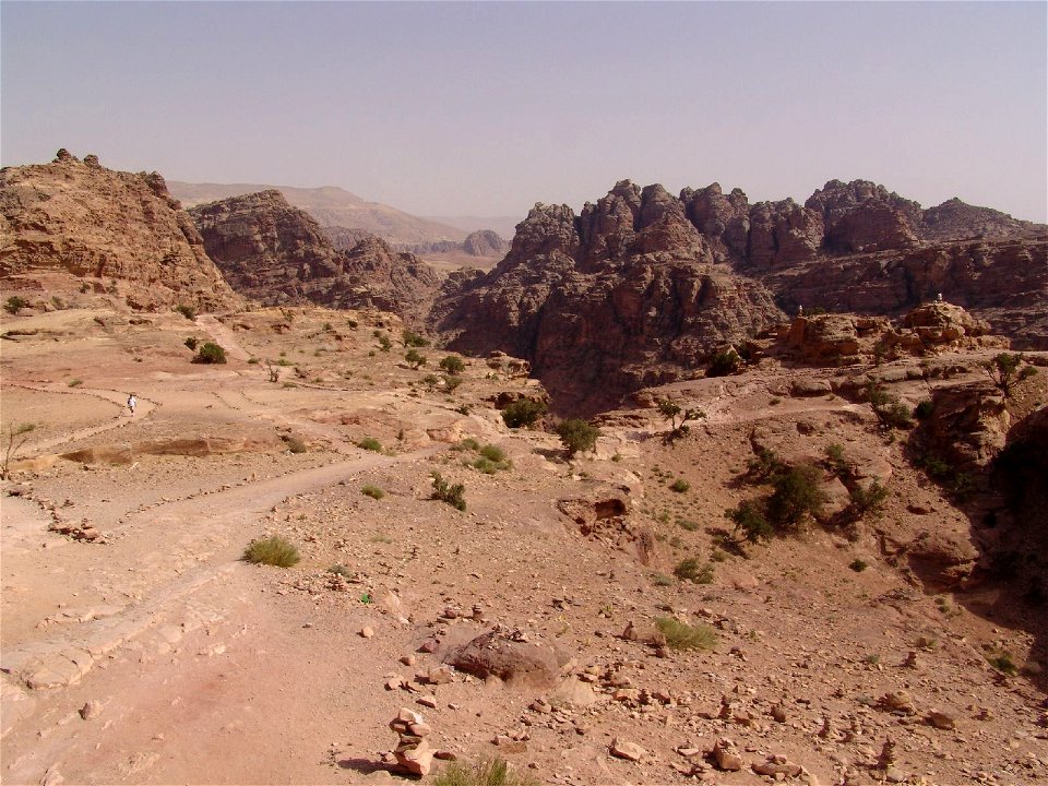 DSC07331