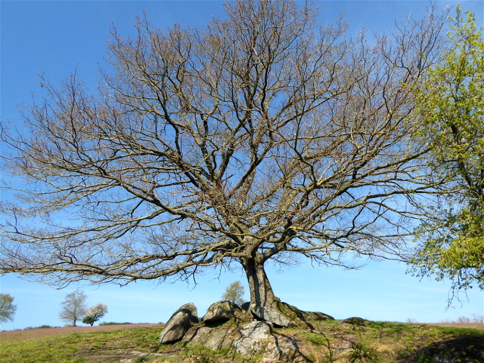 Vallée des Amourettes, Vendée