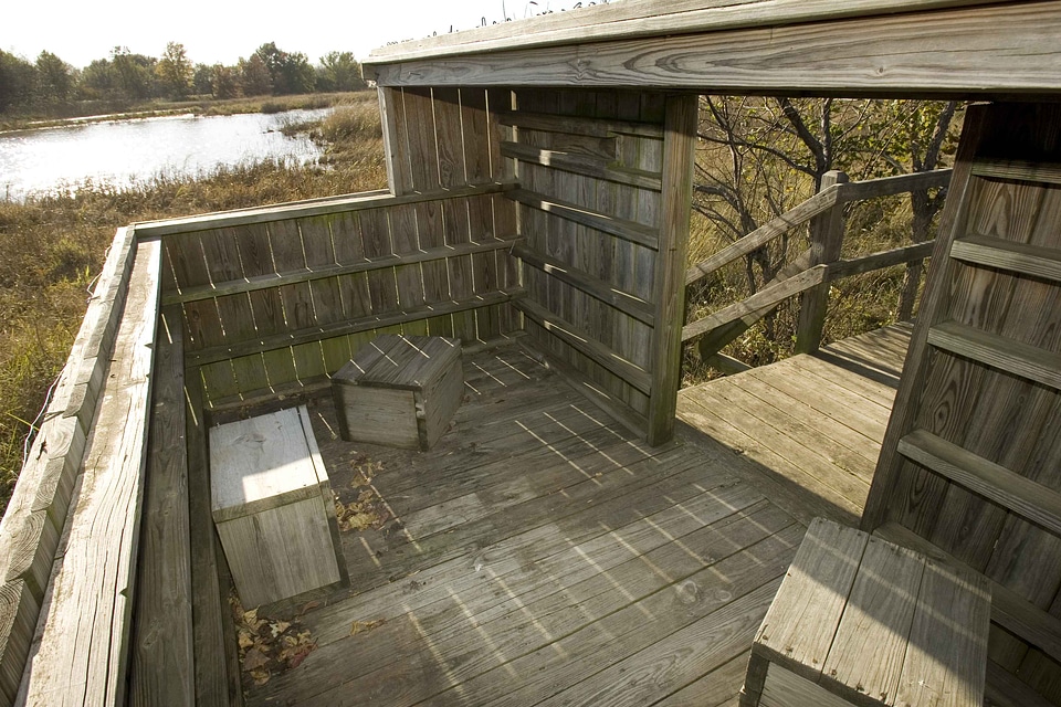 Blind duck interior