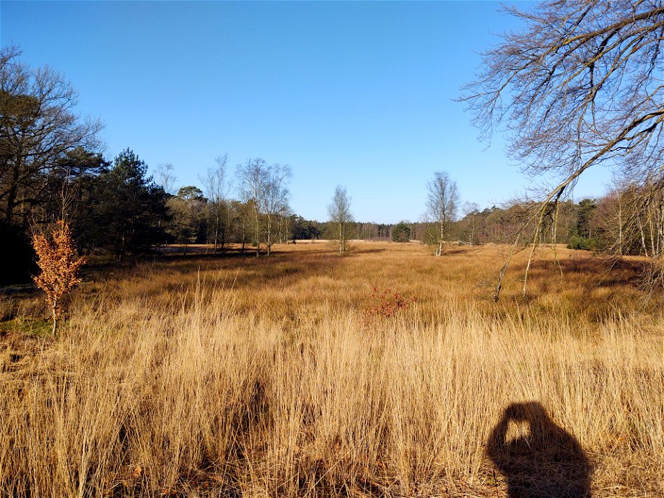 Leersumsche veld