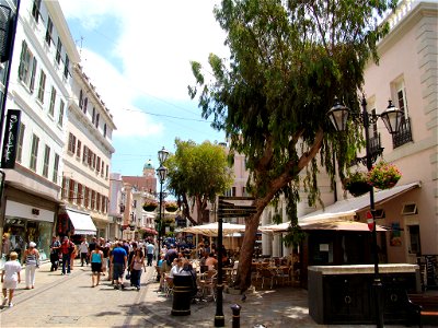DSC05769