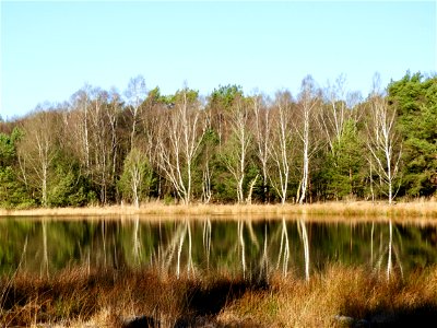 Leersumsche veld
