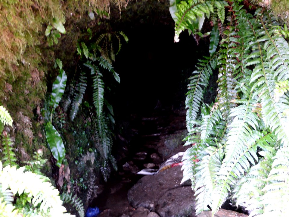 P1000443