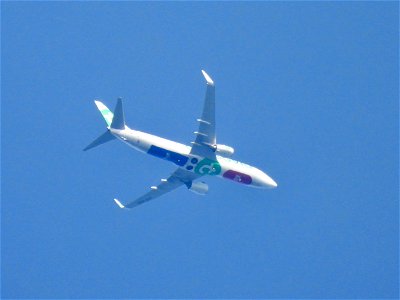 Transavia Boeing 737 photo