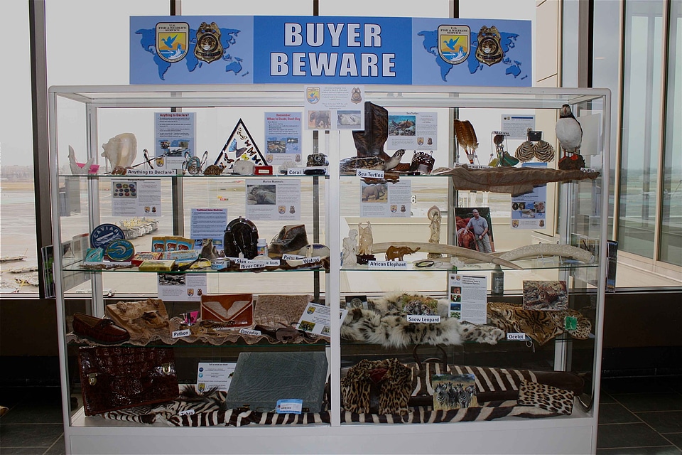 Airport buyer exhibit