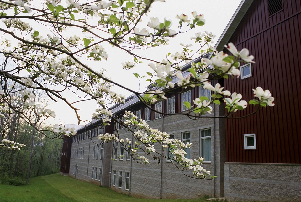 Blossoming home 
