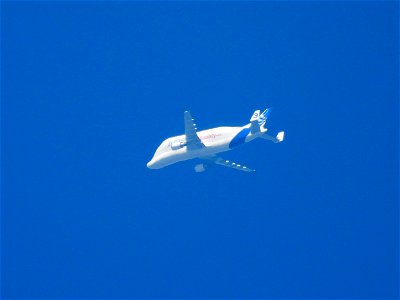 Airbus A300-600ST Beluga photo