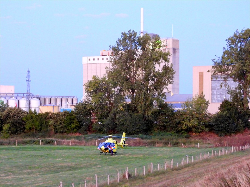Traumaheli