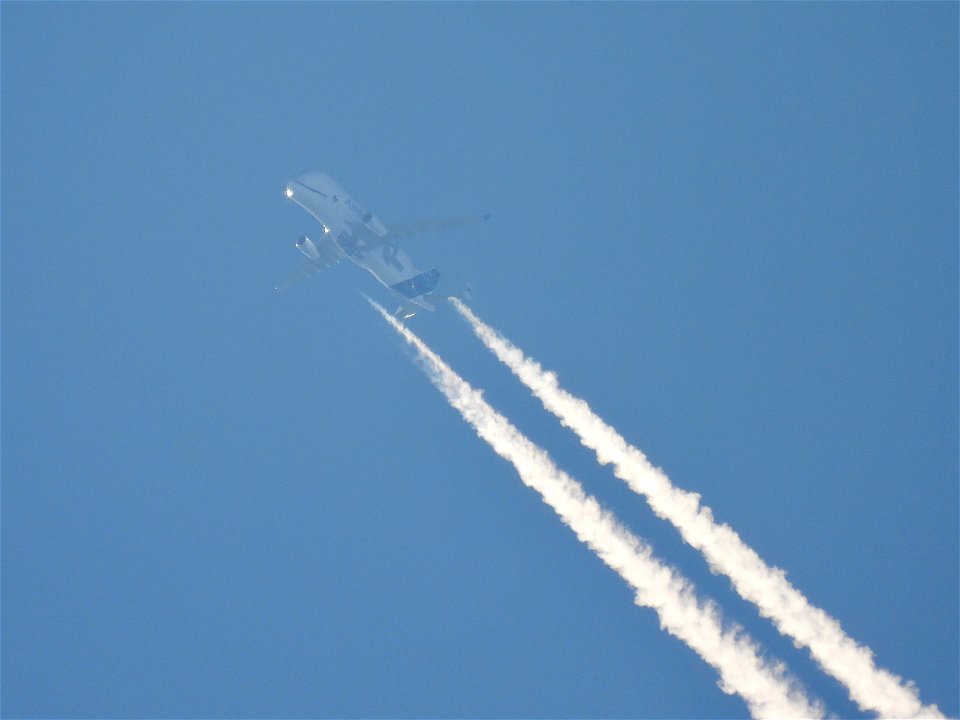 Airbus BelugaXL