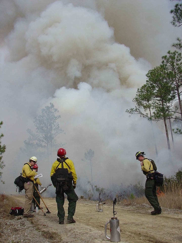 Education fire 