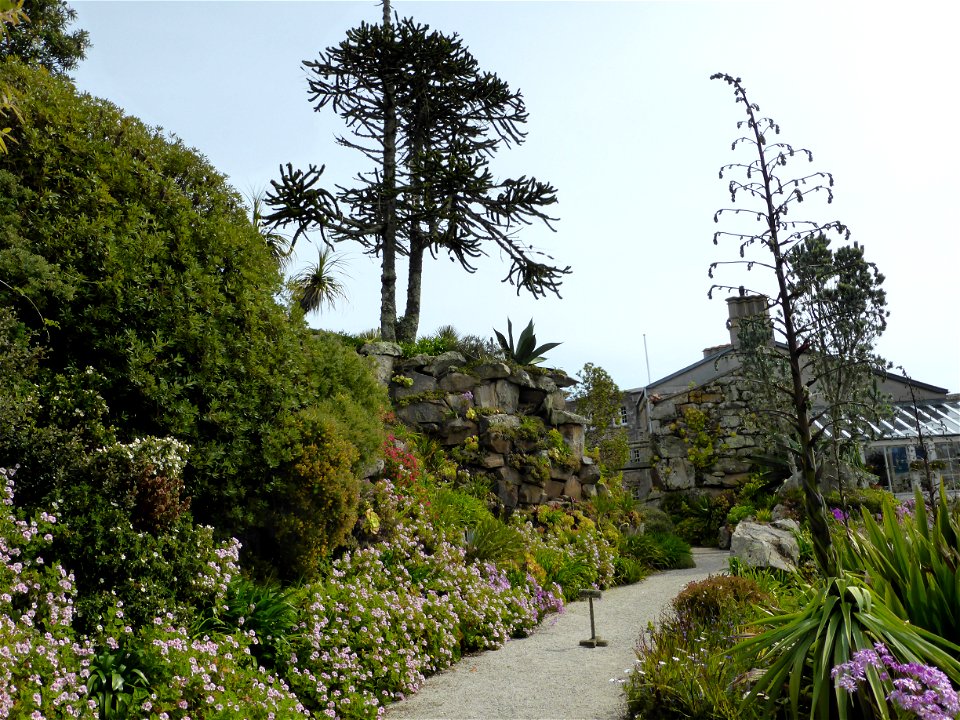 P1000750