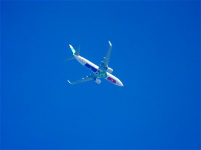 Boeing 737 TUI photo