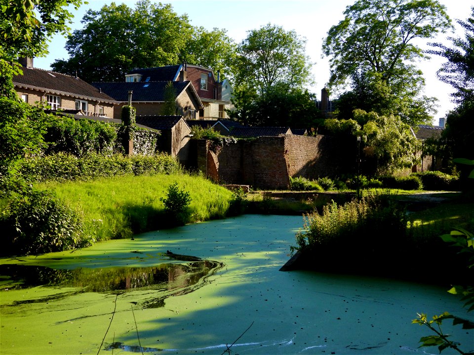 Gracht en kasteel