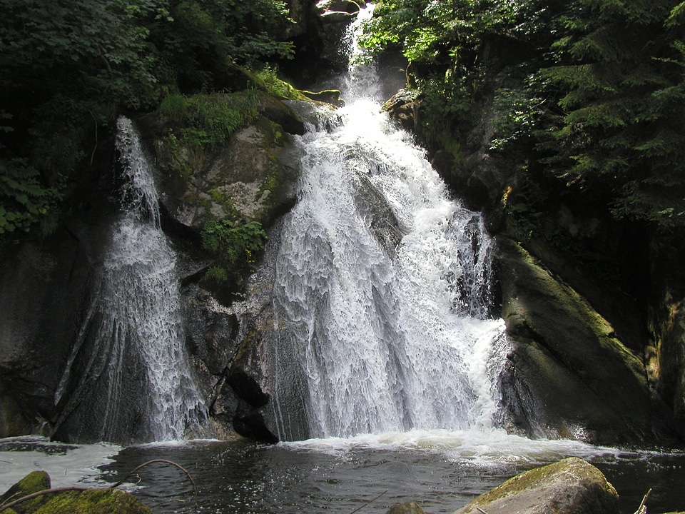 Triberg nature water