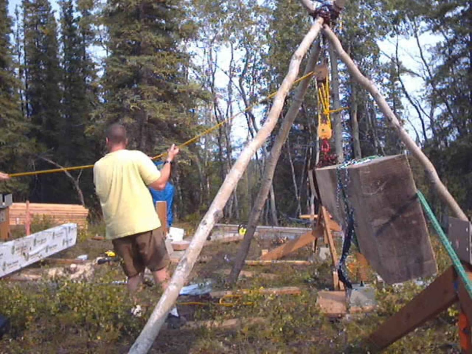 Building cabin forest
