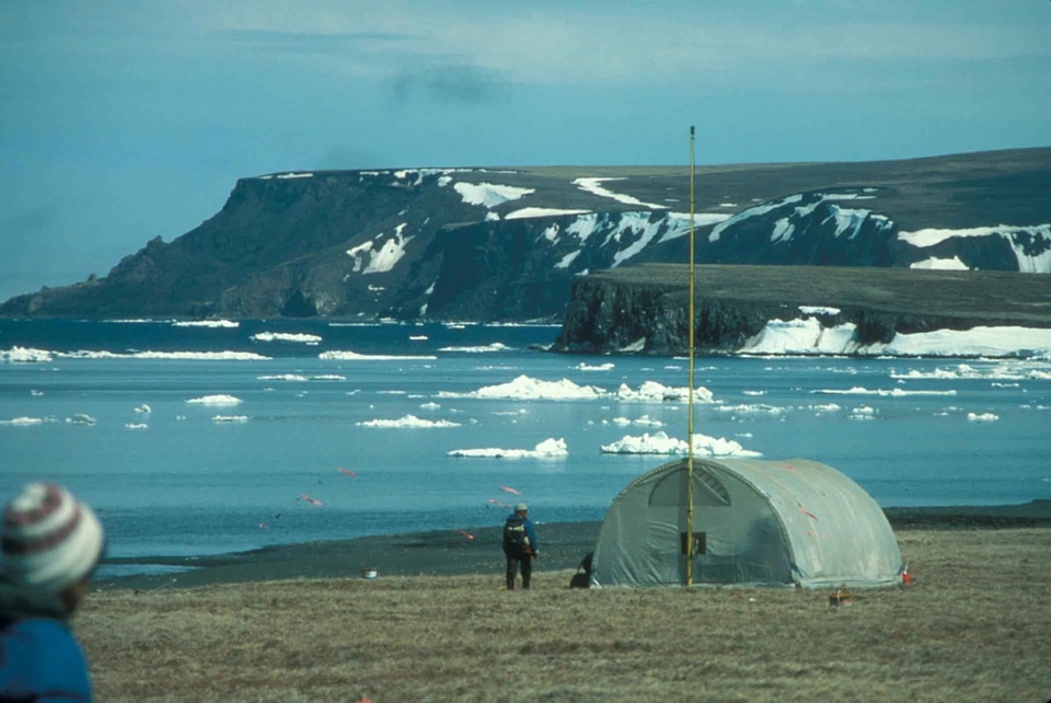 Alaska array bearing photo