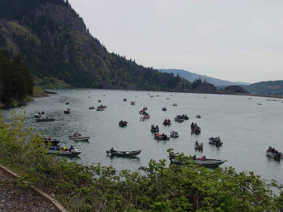 Amount aquatic boats