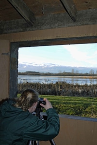 Domestic fauna refuge