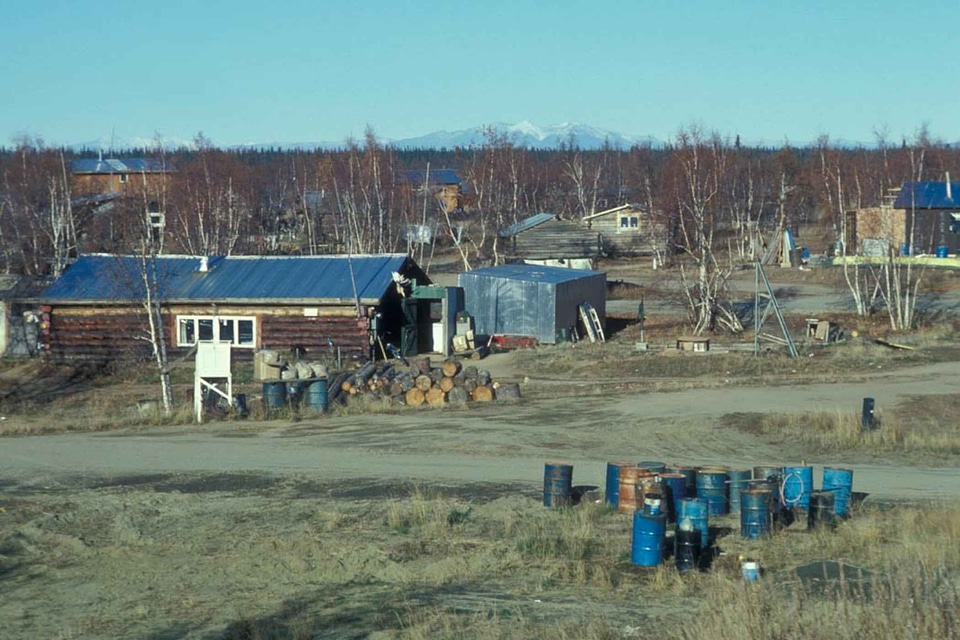 Forest town 