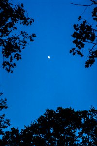 DSC07623