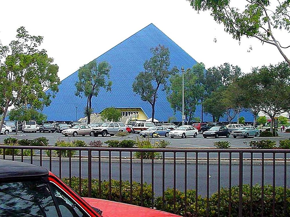 Angel phylum pyramid
