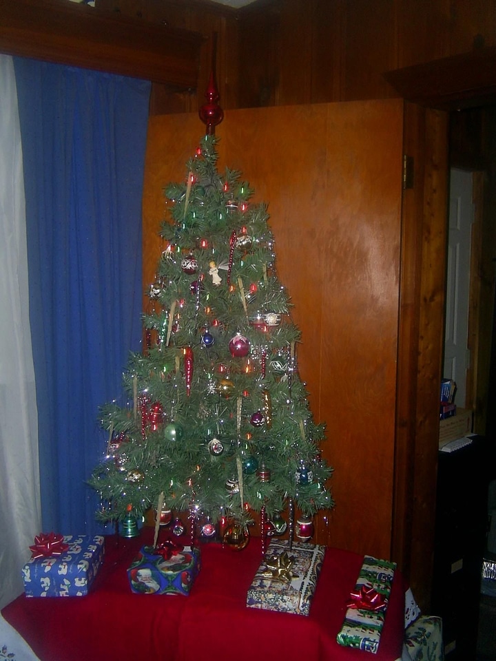 Christmas little tree