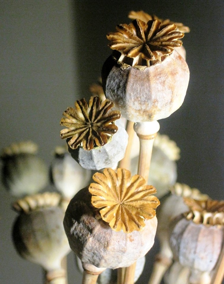 Bleached textured natural