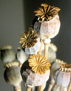 Bleached textured natural