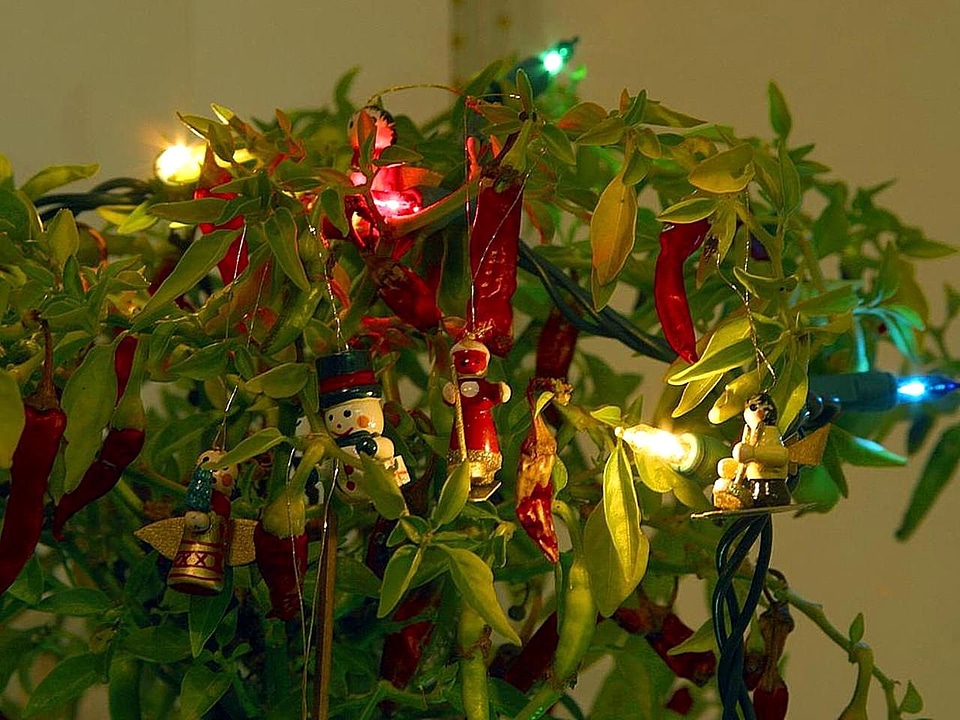 Christmas tree 