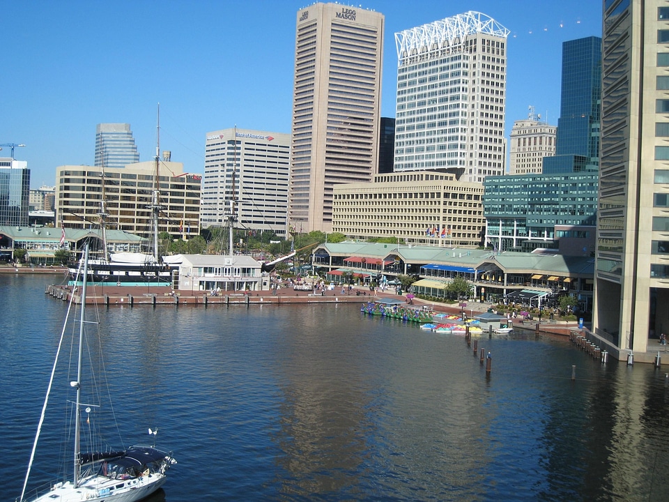 Harbor sunny 